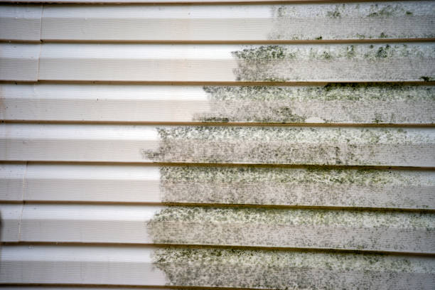 Custom Trim and Detailing for Siding in Saratoga Springs, UT
